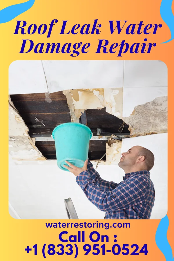 Roof Leak Water Damage Repair in Greenbrier, TN